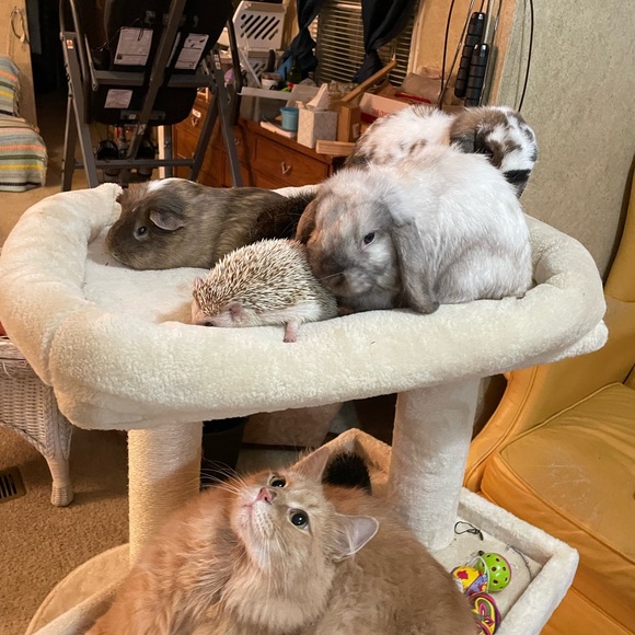 Meet your Posher, Jodée - Picture 4 of 12